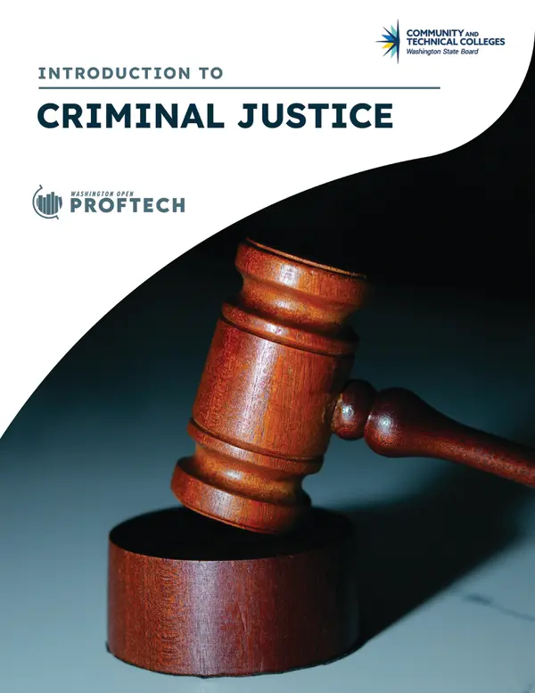 Intro Criminal Justice